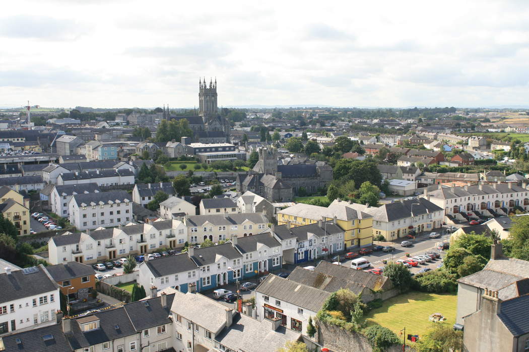 Kilkenny hold off Clare in thriller to set up Limerick decider