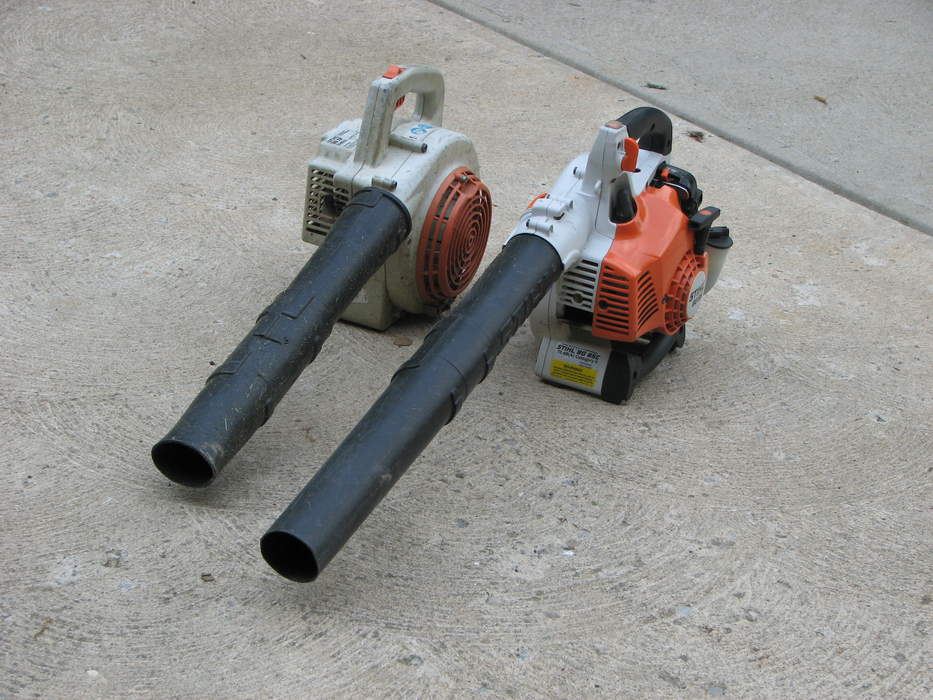 Leaf blower