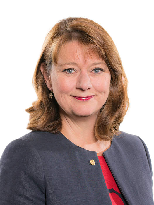 Plaid procedures failing women, says Leanne Wood, former leader