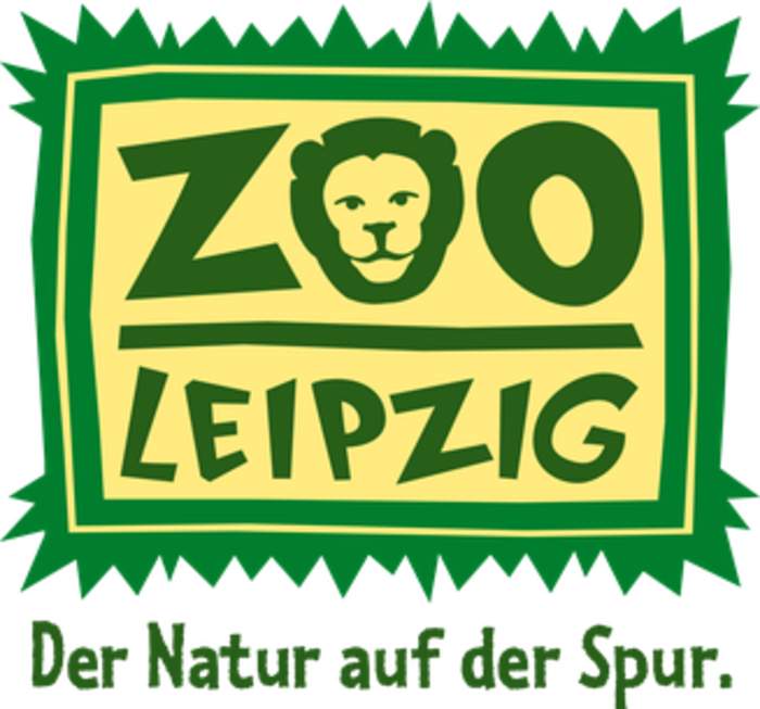 Stolen endangered monkey Ruma returned to Leipzig Zoo