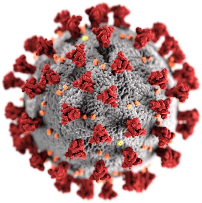 Coronavirus: What's happening in Canada and around the world on March 23