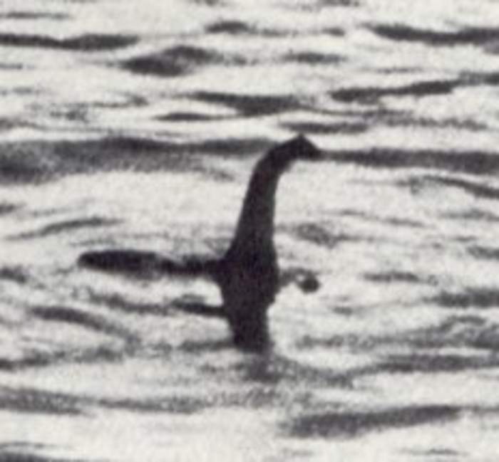 Calling all Nessie enthusiasts: The biggest hunt for Loch Ness monster in 50 years is on