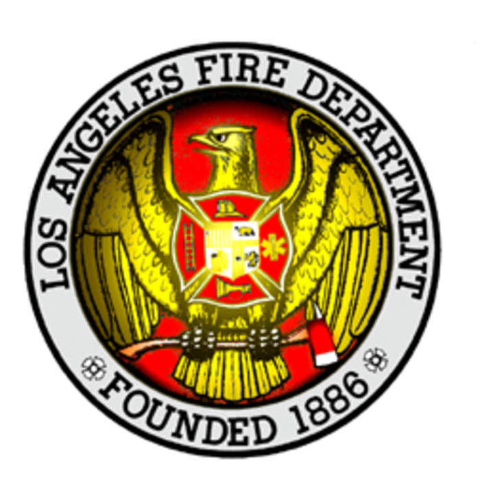Cara Delevingne's House Fire Perplexes L.A. Fire Dept.