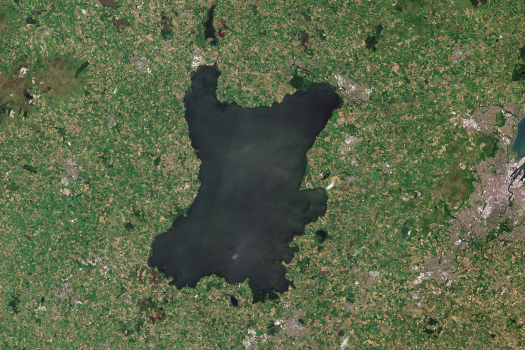 Lough Neagh: Why is the UK's largest lake turning toxic green?