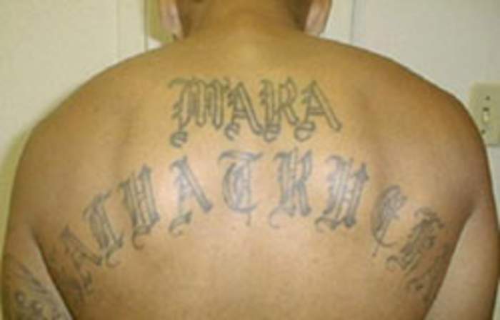 ICE nabs illegal immigrant MS-13 gang member released back onto streets after manslaughter conviction