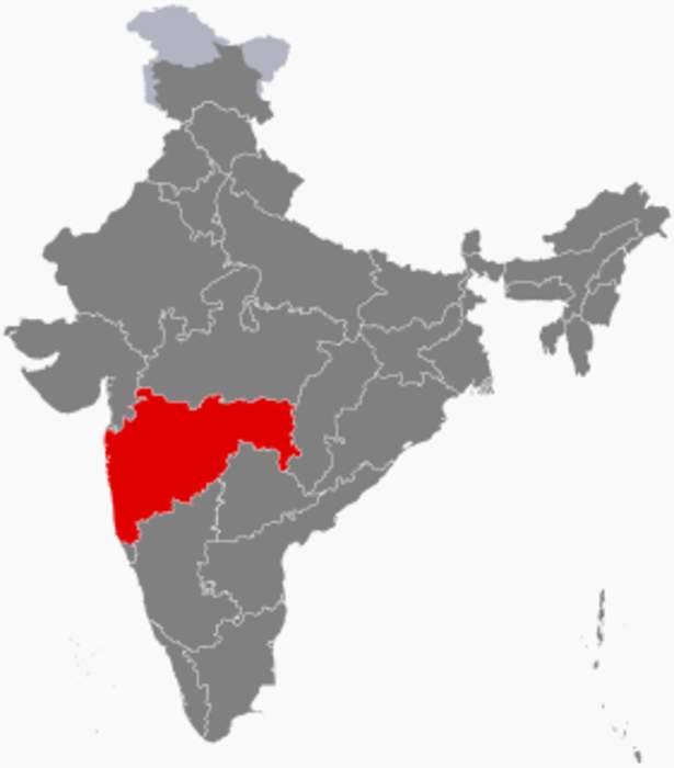 Nestled between Maharashtra & Telangana, Hamlet has 2 of everything — voter card to power lines