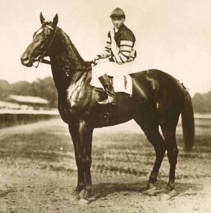 Horse racing reaches critical moment following rash of deaths