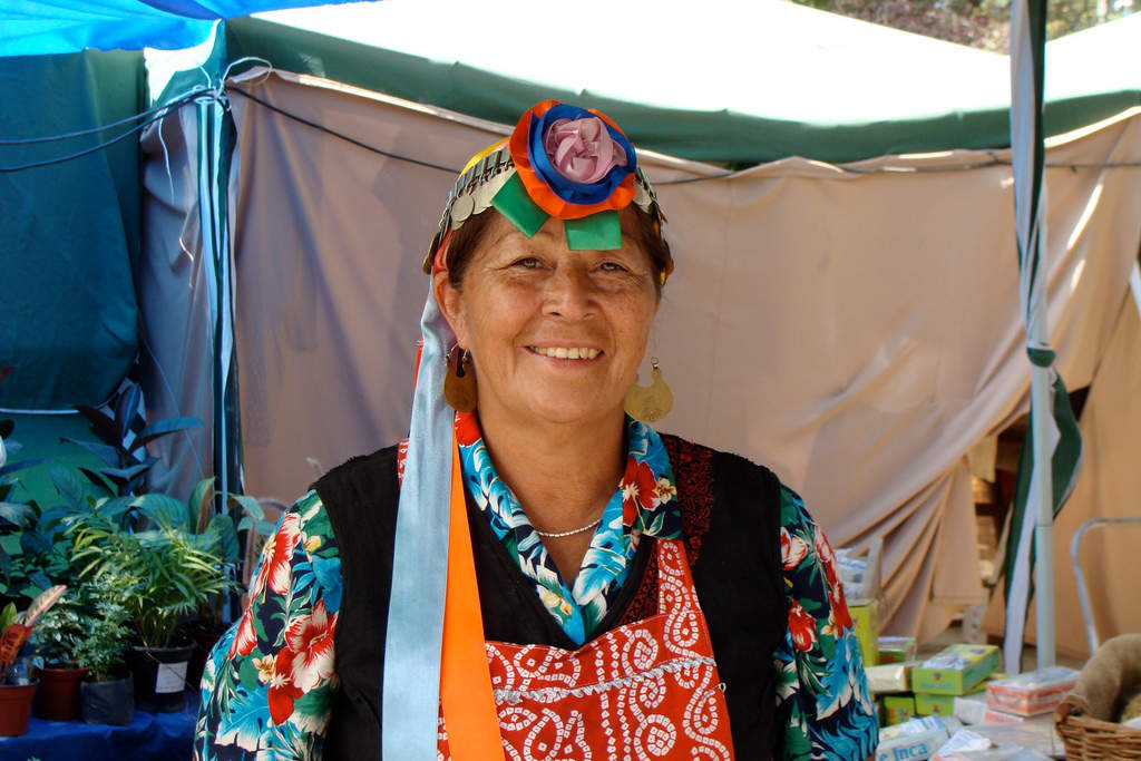 Chile's Mapuche indigenous group fights for rights