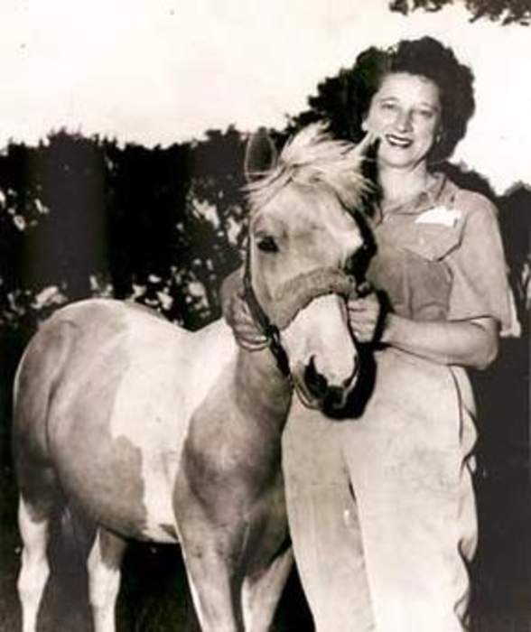 Following in the Wake of a Storybook Pony