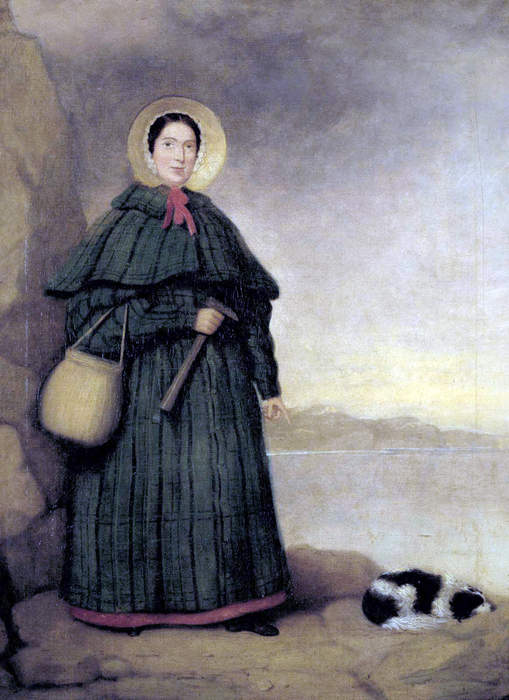 Ammonite: Who was the real Mary Anning?