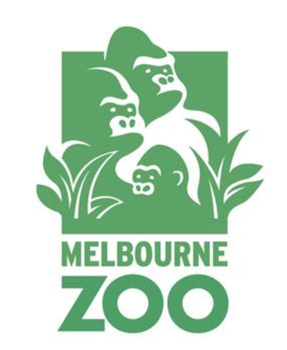 Melbourne Zoo elephant dies from virus