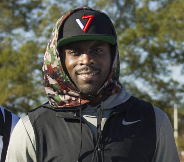 Michael Vick wishes he had more guidance before dogfighting derailed NFL career