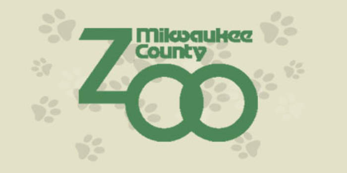 Milwaukee County Zoo welcomes Gentoo penguin chick
