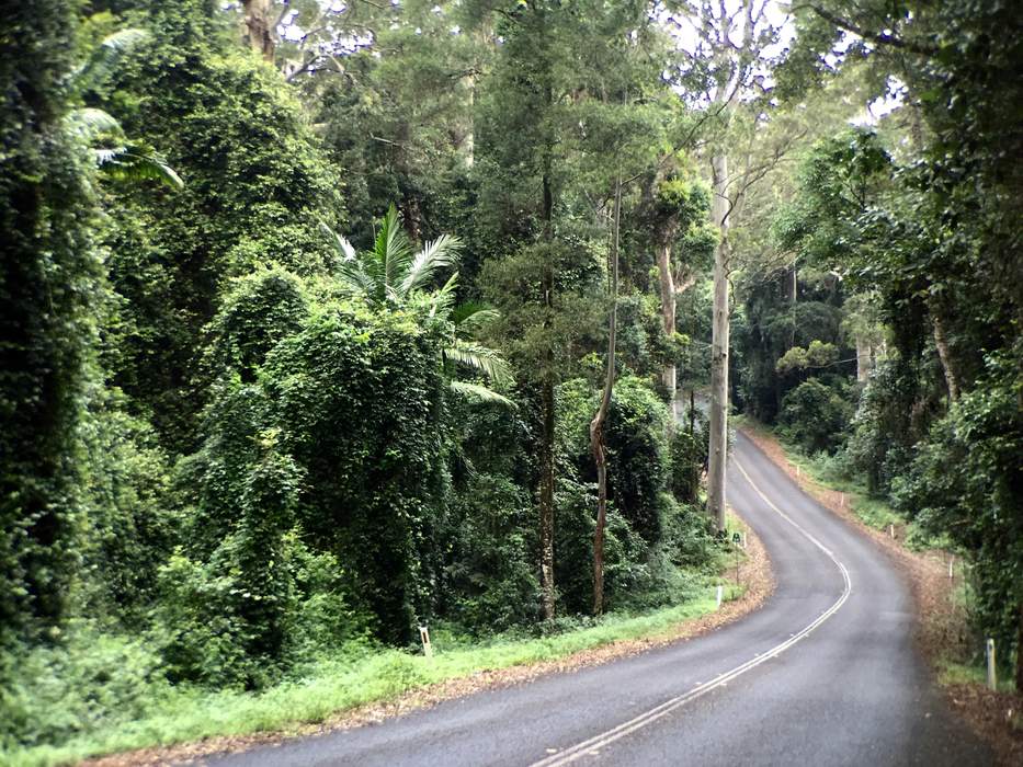 Father, son spend night lost on Mount Glorious after bushwalk