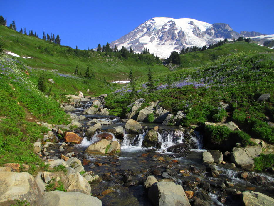 Mount Rainier National Park in Washington searching for three missing hikers
