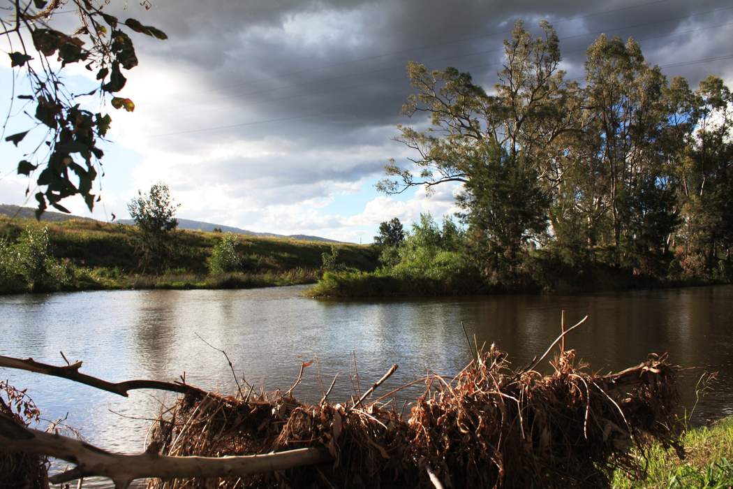 Hickman and Namoi River chasing Kembla Grange success