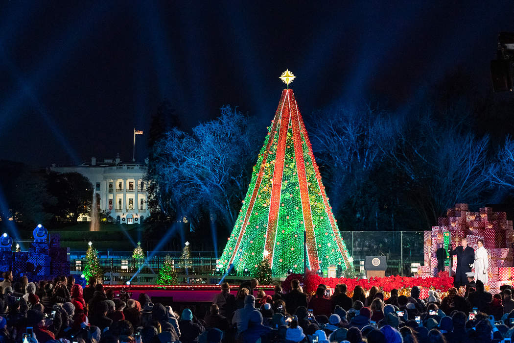 National Christmas Tree topples to the ground at White House: 'Perfectly summing up Joe Biden's presidency'