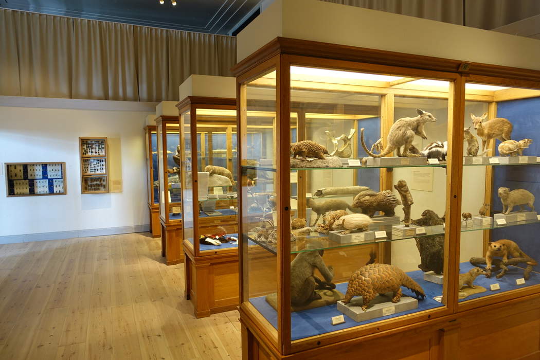 New research centre for Natural History Museum in Shinfield