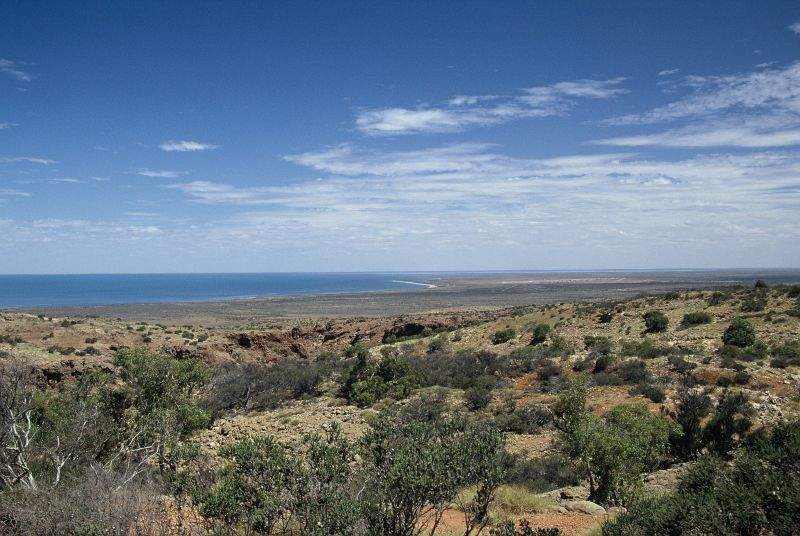 Coral bleaching recorded along WA coast as heat resilient reef projects start up