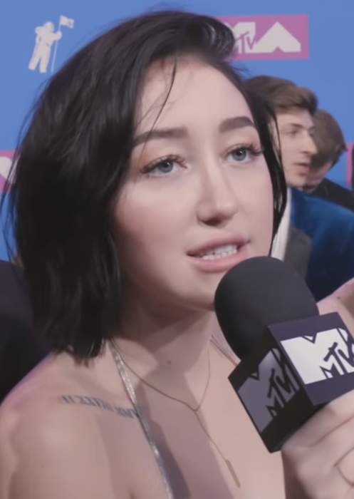 Noah Cyrus Blasts Troll with NSFW Comment After Family Love Triangle Joke