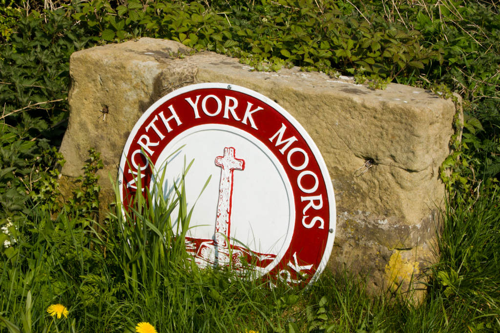 North York Moors: Invasive crayfish seen in River Esk