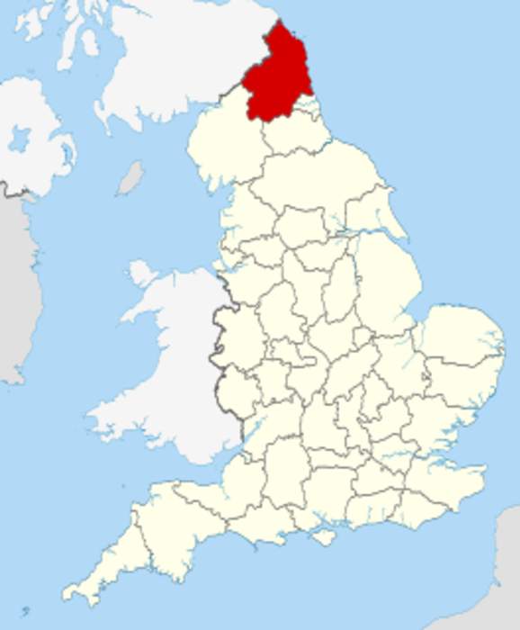 Big increase in England's hen harrier numbers