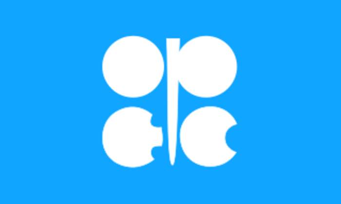 News24 | OPEC gets thumbs-up from African member states, despite Angola's withdrawal