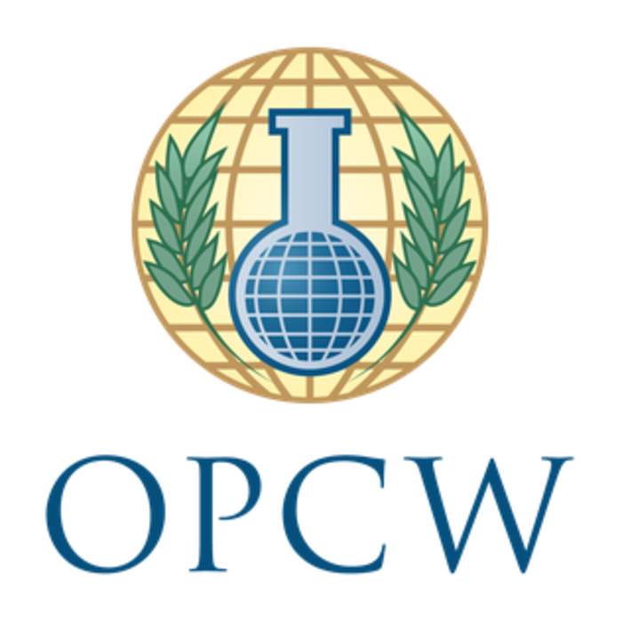 OPCW blames Syrian troops for 2018 chemical attack