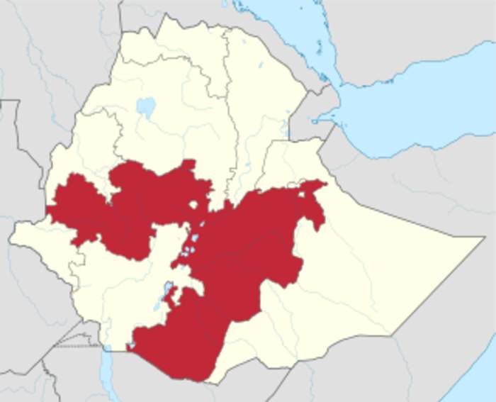 Ethiopia: Organized Crime Pours Cold Water On Coffee Exports – Analysis
