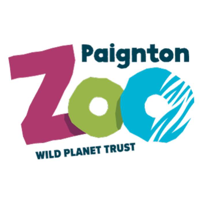 Paignton Zoo welcomes arrival of 'Bambi-like' antelope calf