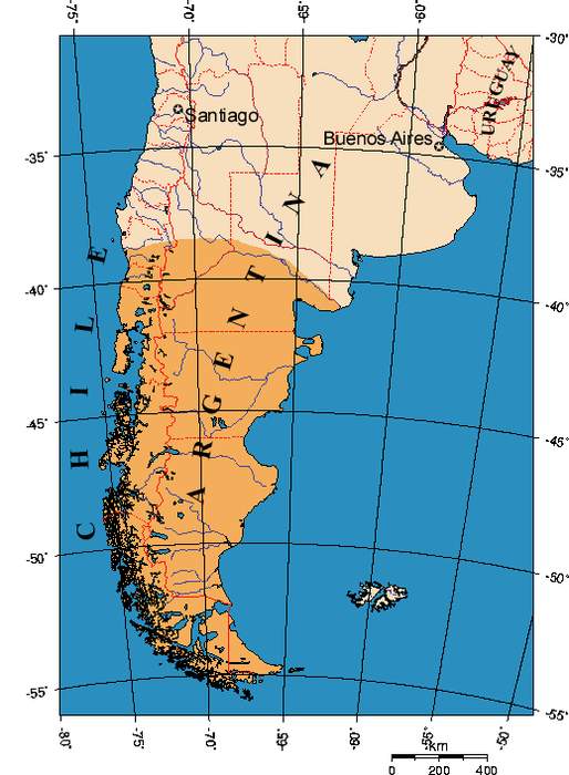 Fossils Reveal Dinosaurs Of Prehistoric Patagonia