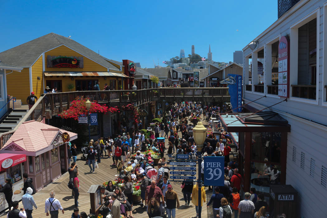 Sea lions at Pier 39 in San Francisco: 30 Years Later