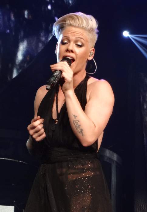 Pink Fan Throws Mother's Ashes Onstage, Leaving Singer Confused