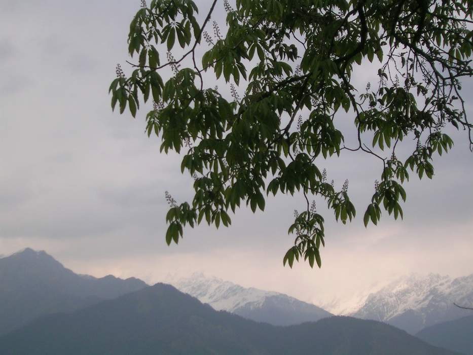 Pithoragarh landslide blocks route to Adi Kailash