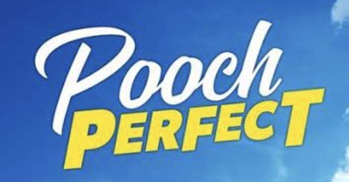 Dog grooming show 'Pooch Perfect' slammed on Twitter over claims of 'animal abuse'