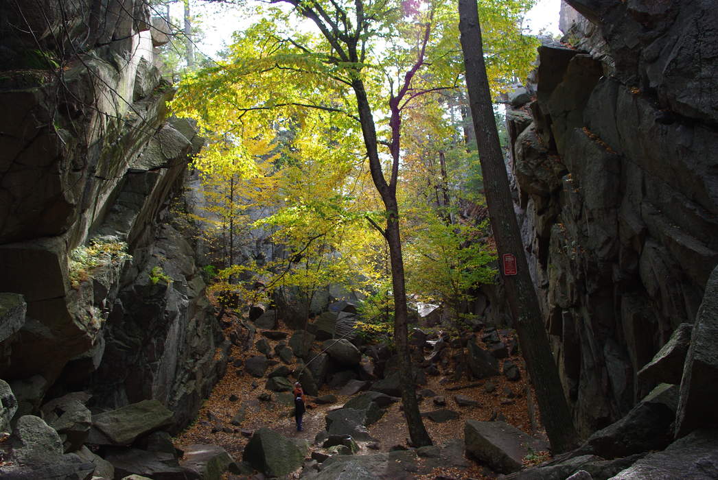 Mother of 4 falls to her death while hiking at state park with her kids