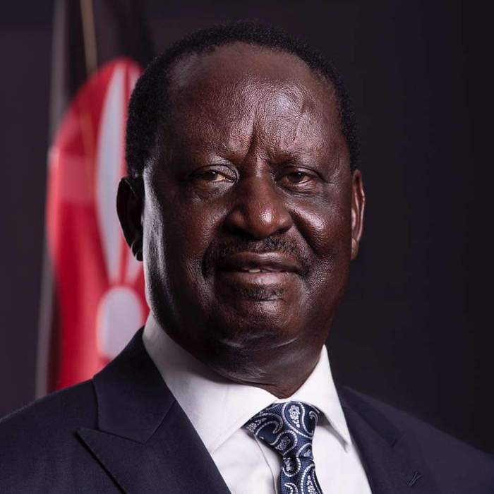 News24 | Kenya pushes for opposition leader Odinga to take up AU Commission chair job next year