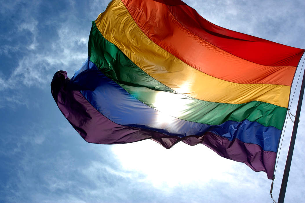 Council flew Pride Flag 'without proper consent'