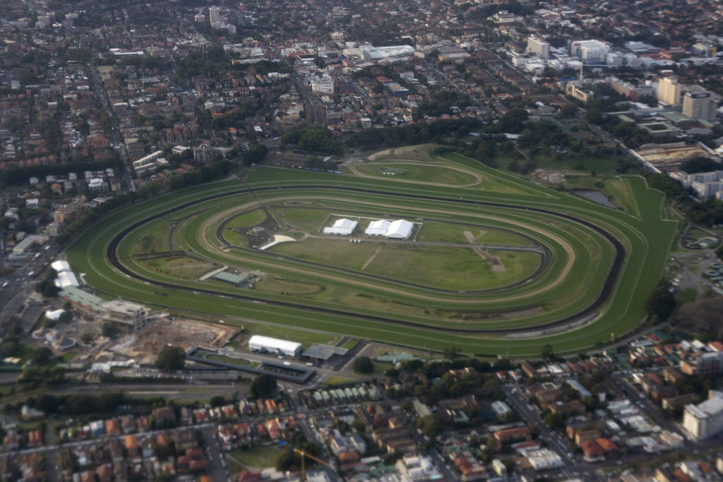‘Not suitable or safe’: Residents fear plans for skydiving at Royal Randwick Racecourse