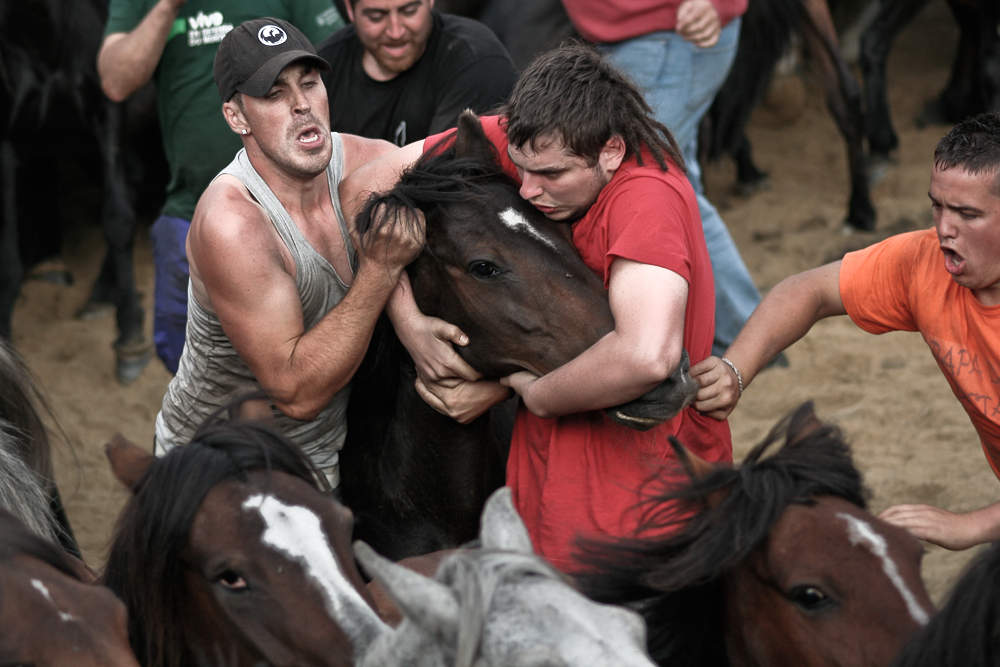 WATCH: Locals wrestle wild horses in Spain's Rapa das Bestas festival