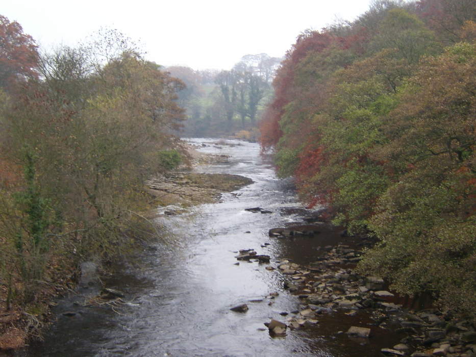 River Swale