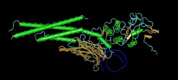 New Option For Treating Prostate Cancer