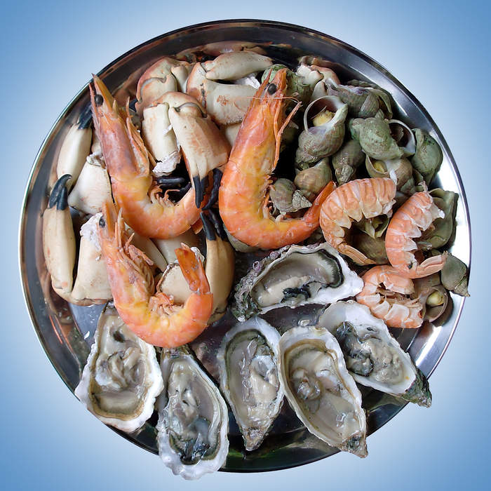 Seafood produced using forced Uyghur labour in China could be on sale in British supermarkets