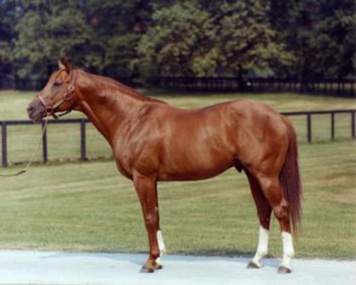 Secretariat's Triple Crown turns 50: Why there's no GOAT argument in horse racing