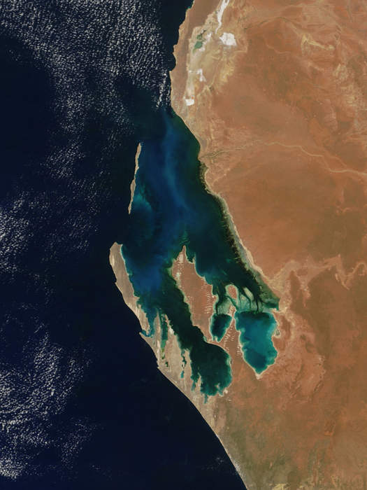 From Shark Bay seagrass to Stone Age Scotland, we can now assess climate risks to World Heritage
