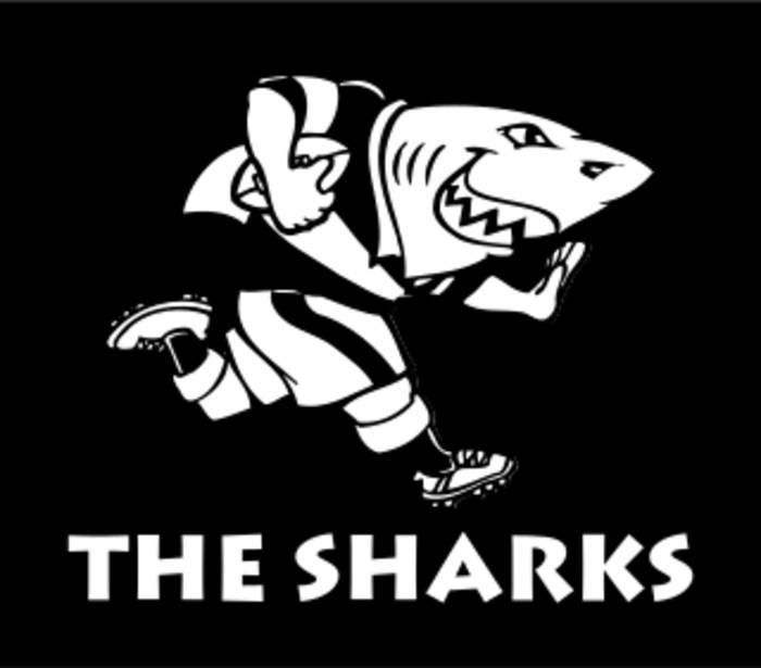 Sharks (rugby union)