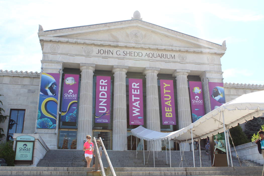 Shedd Aquarium