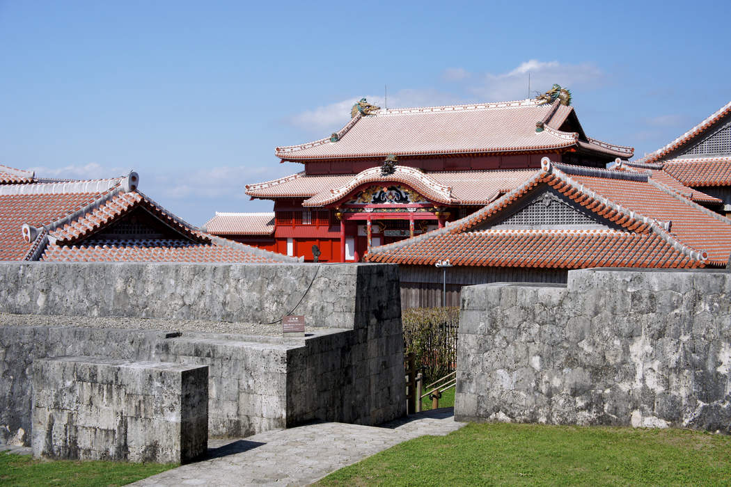 Historic Japanese castle nearly destroyed by fire