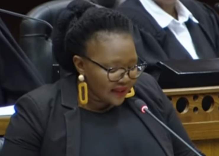 News24 | New Basic Education Minister Siviwe Gwarube has her work cut out for her, say experts