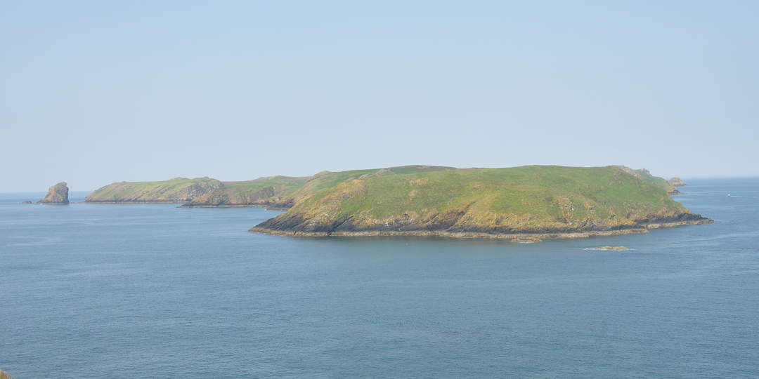 Skomer